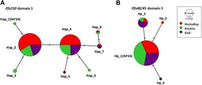 Rare Alleles and Signatures of Selection on the Immunodominant Domains of Pfs230 and Pfs48/45 in Malaria Parasites From Western Kenya